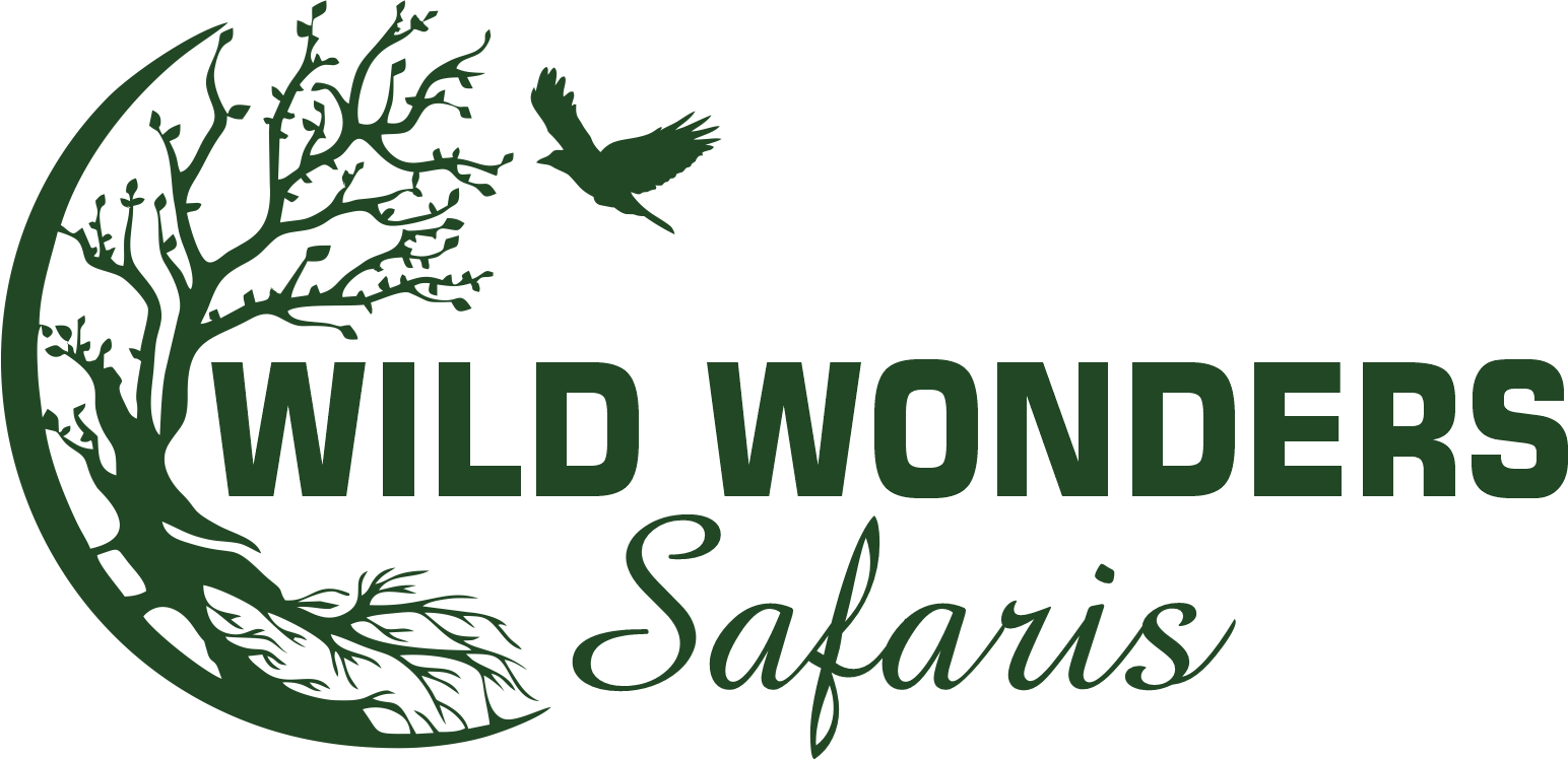2WILD WONDERS LOGO