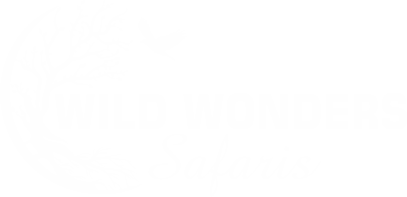 WILD WONDERS LOGO
